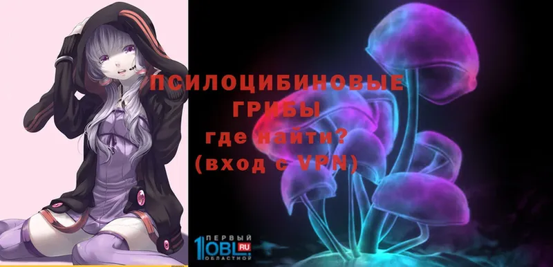 Галлюциногенные грибы MAGIC MUSHROOMS  Комсомольск-на-Амуре 